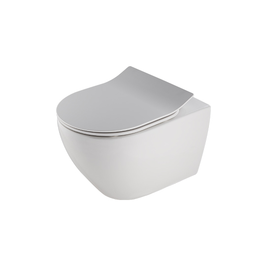 Wall-Hung Toilet W/Toilet Seat & Cover