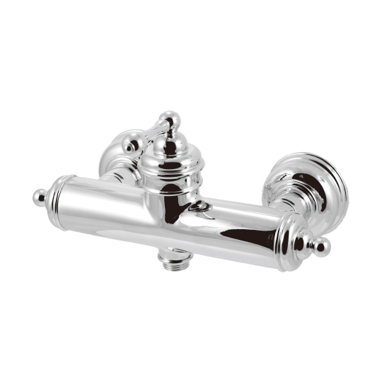 Shower Mixer Body