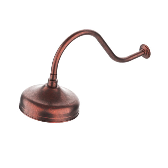 Rain Shower With Shower Arm