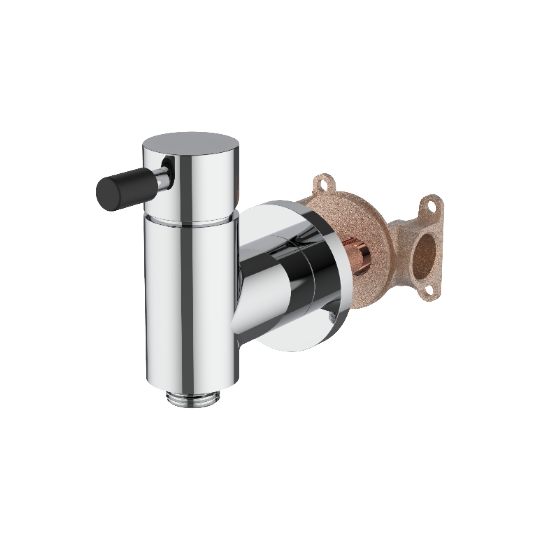 Concealed Mixer