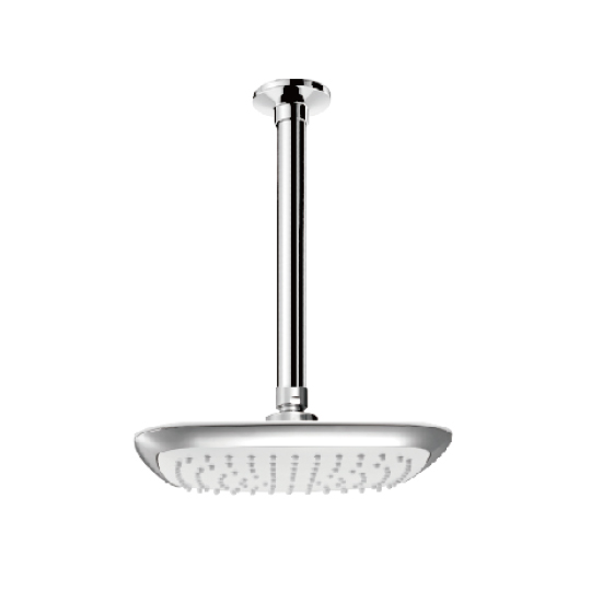 Ceiling-Mounted Showerhead (Plastic)