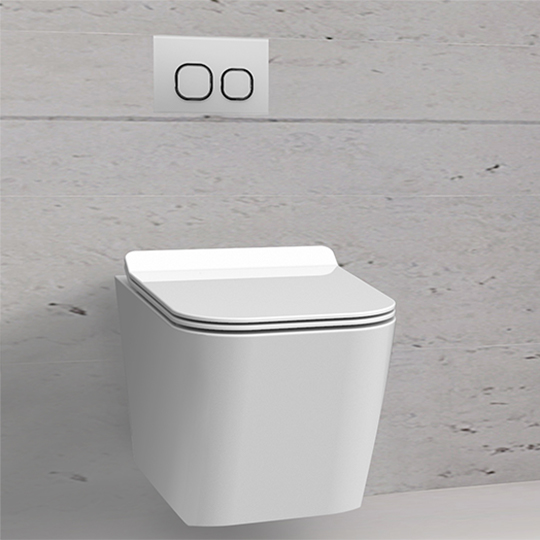 Wall-Hung Toilet W/Toilet Seat & Cover thumbnail 3