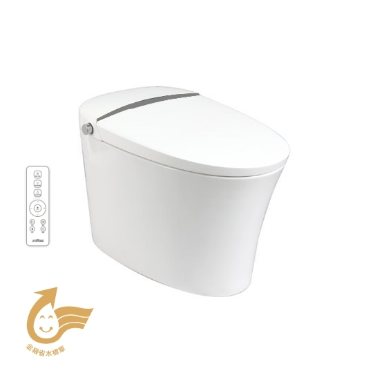 Intelligent Toilet (110V)