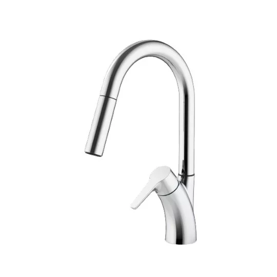 Kitchen Faucet With Pull-Out Sprayer