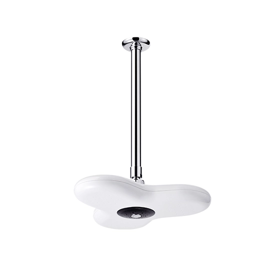Ceiling-Mounted Showerhead