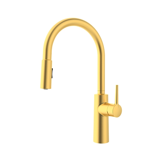 Kitchen Faucet With Pull-Out Sprayer